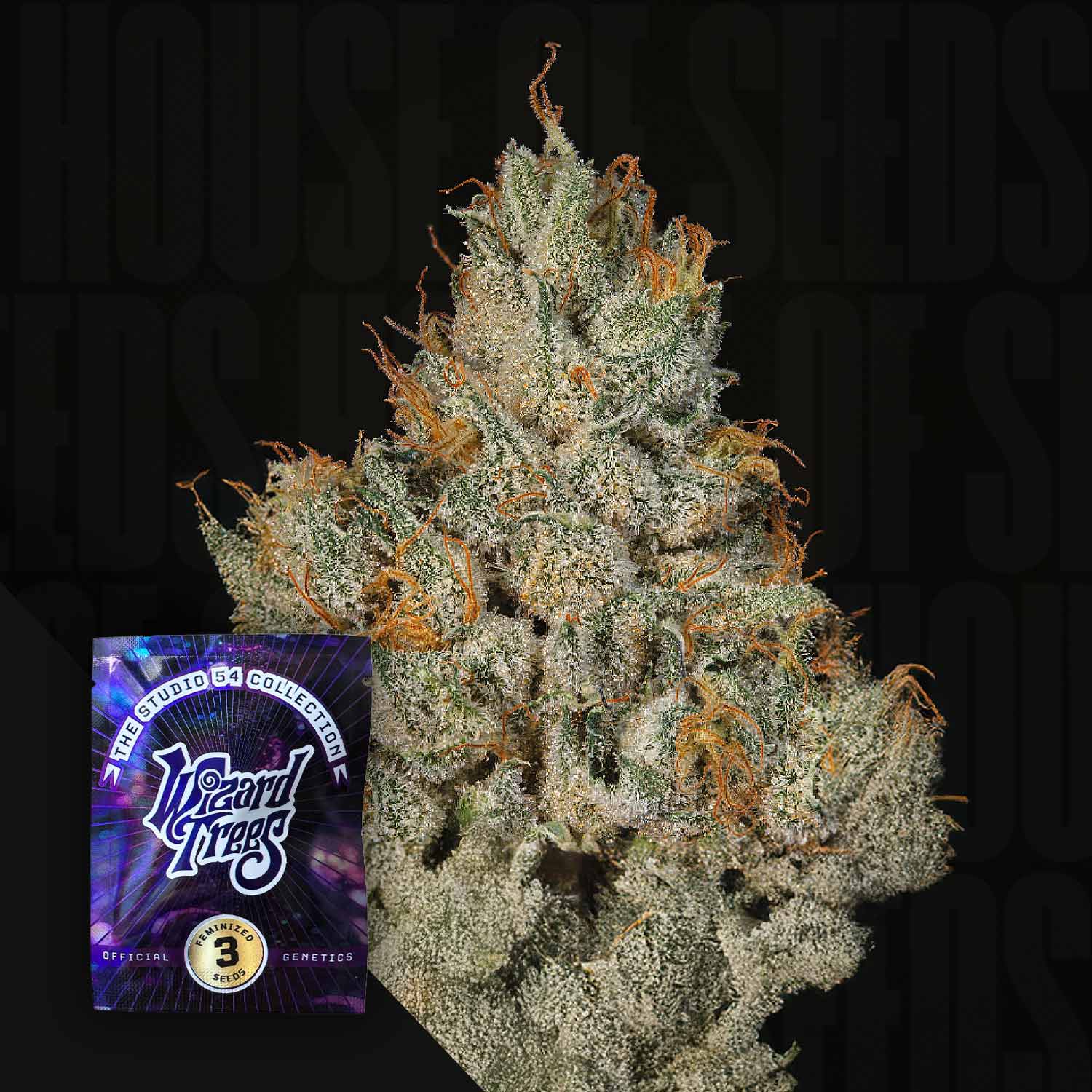 Selected Variant Image