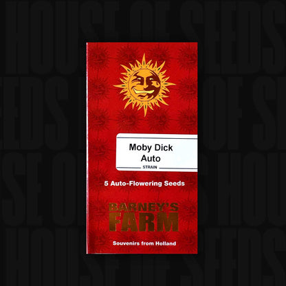Moby Dick Auto