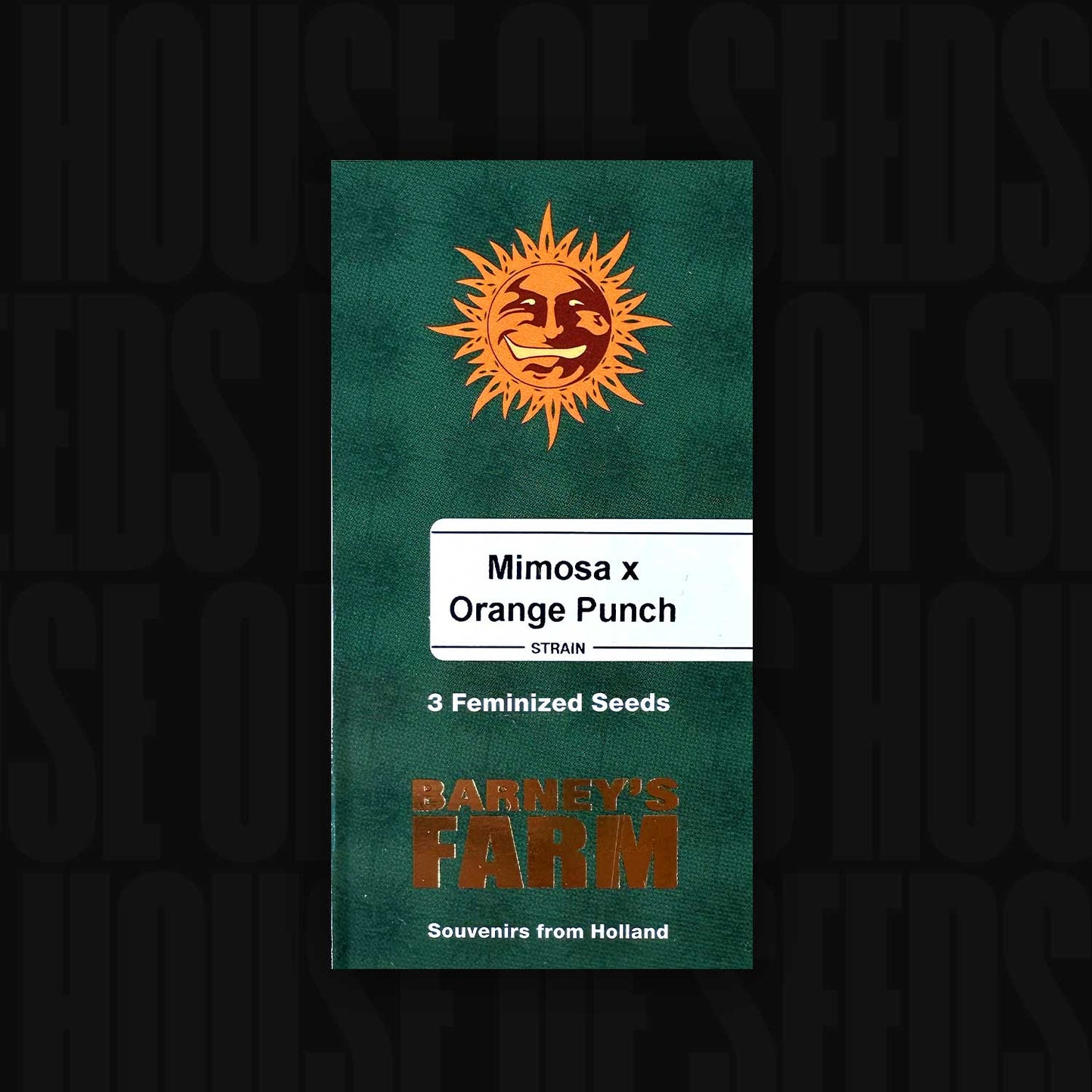 Mimosa x Orange Punch