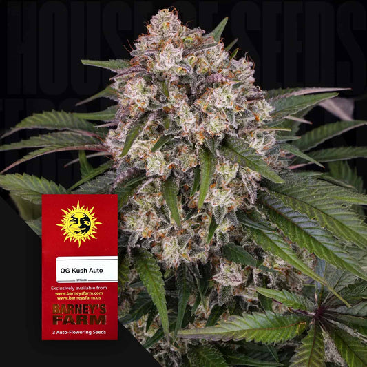 OG Kush Auto