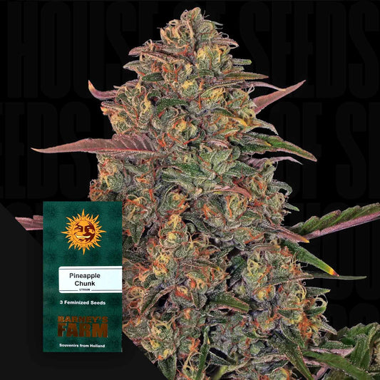 Pineapple Chunk
