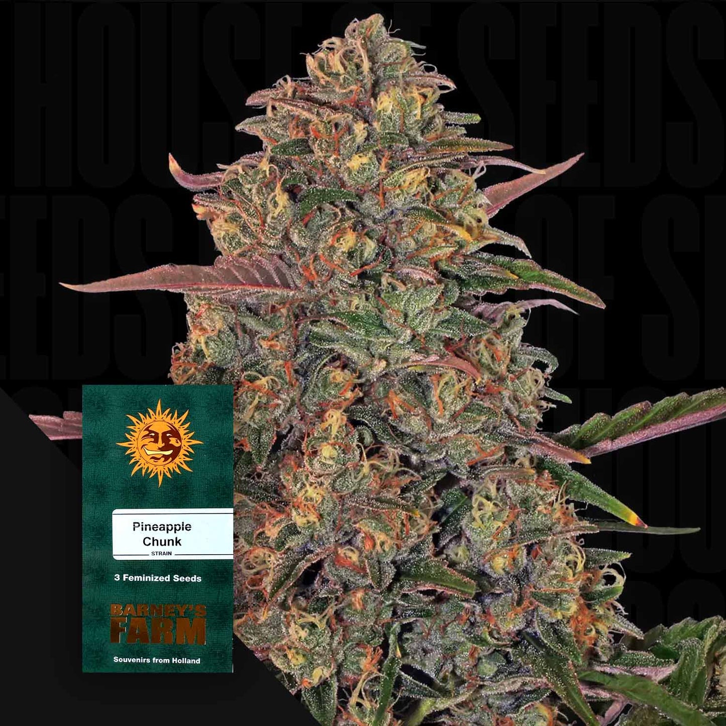 Pineapple Chunk