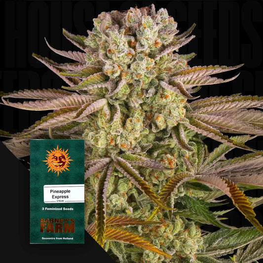 Pineapple Express