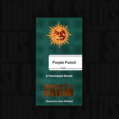Purple Punch