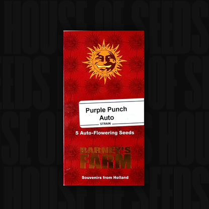 Purple Punch Auto