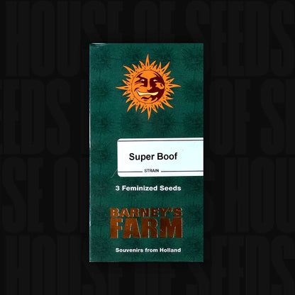 Super Boof