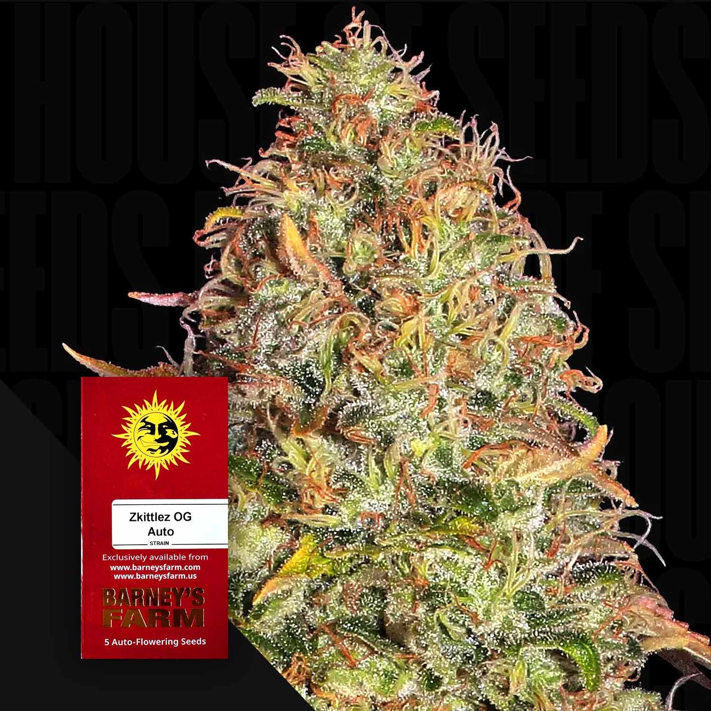 Zkittlez OG Auto